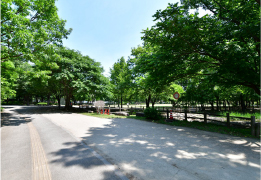 合併記念見沼公園