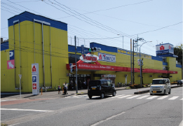 ヤマダ電機テックランド
