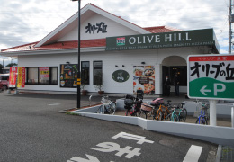 オリーブの丘