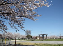 山ノ内公園（徒歩4分）