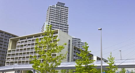 一戸建てとマンション、どっちが良い？