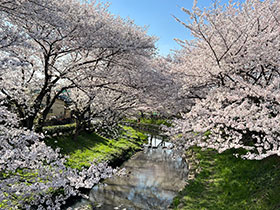 鴻巣市ってどんなところ？